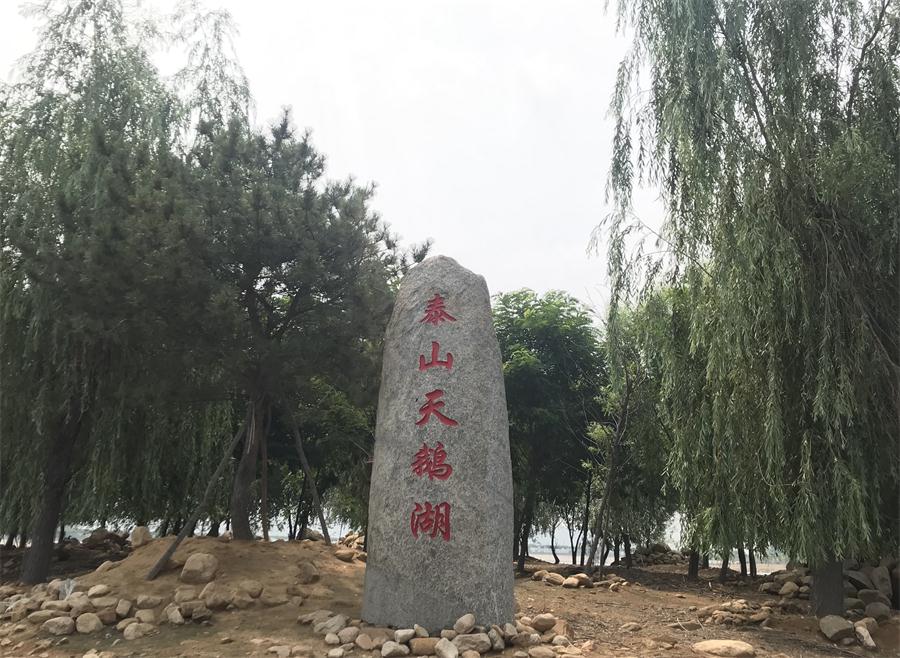天鵝湖風景區(qū)（泰山）速覽！(圖12)